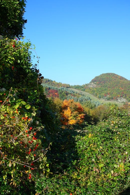 i colori dell' autunno