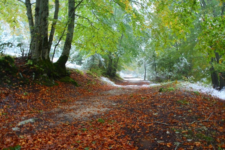 i colori dell' autunno