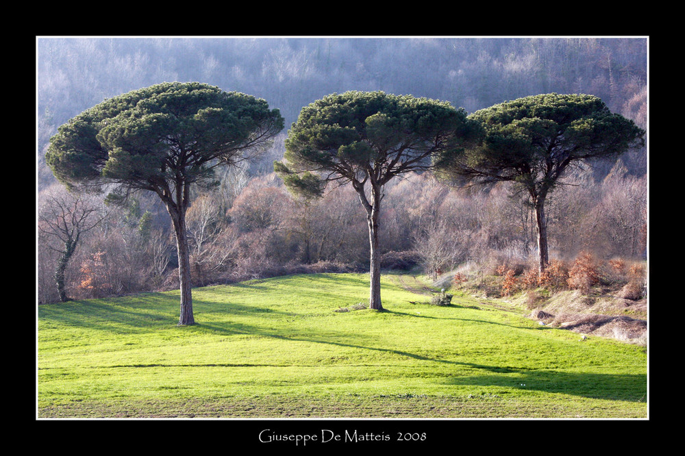 I COLORI DELL' INVERNO ...