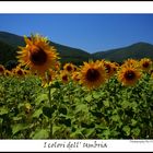 I colori dell' Umbria