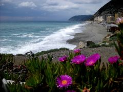 I COLORI DELLA LIGURIA - ITALY