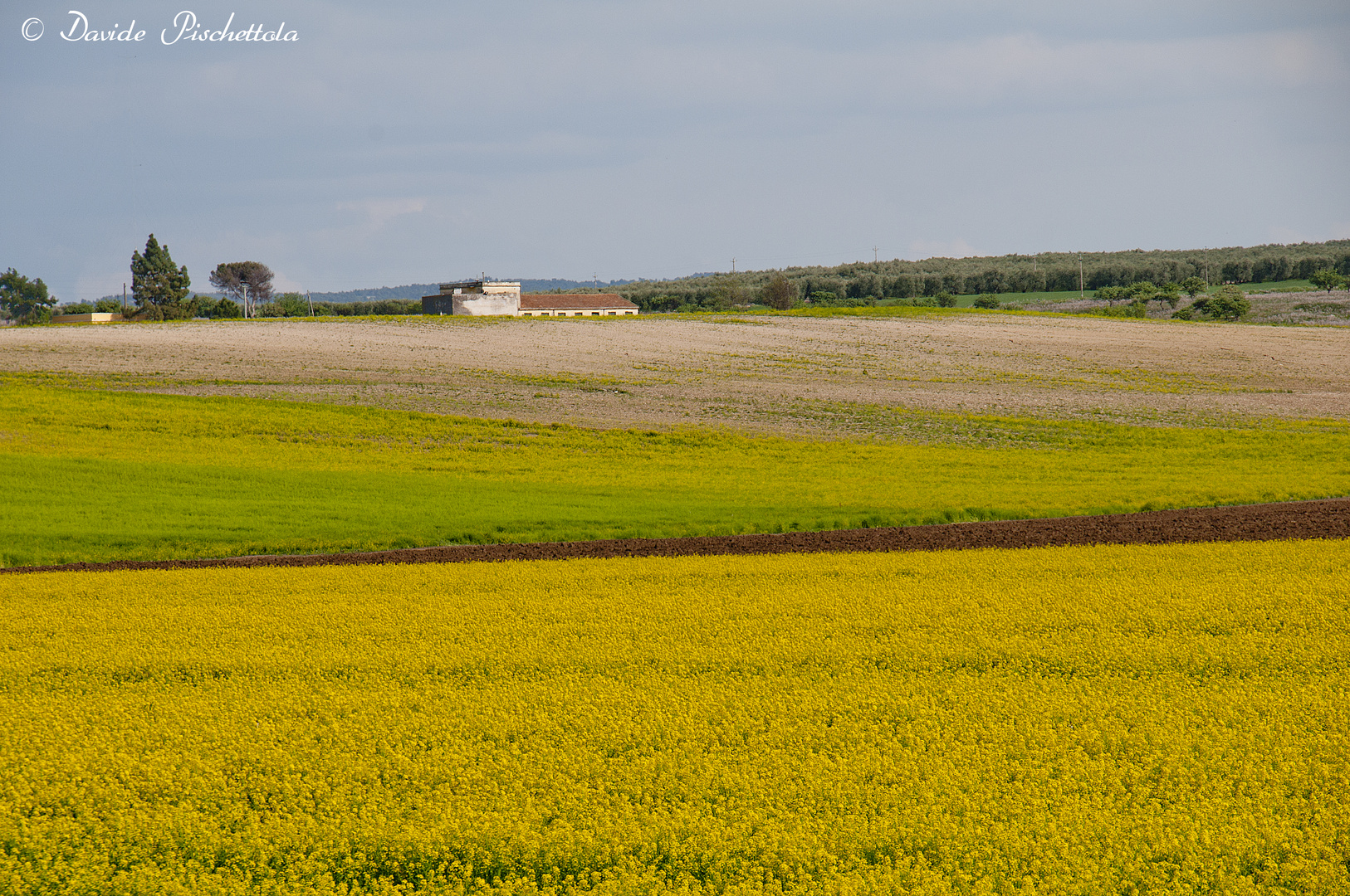 I colori della Lucania