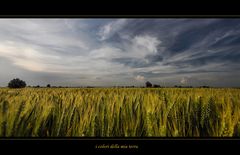 i colori della mia terra