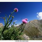 I colori della Montagna