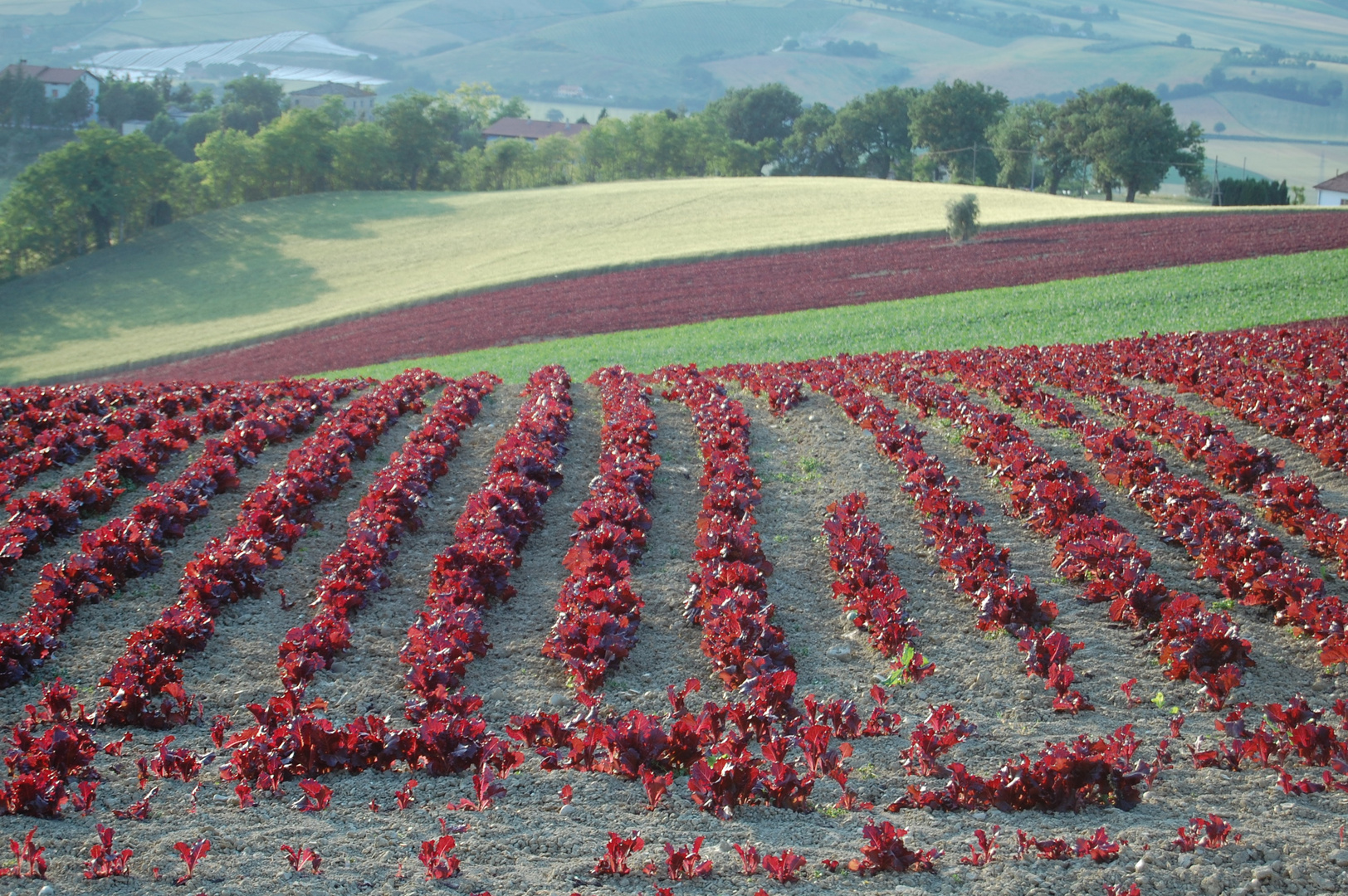 I colori della natura