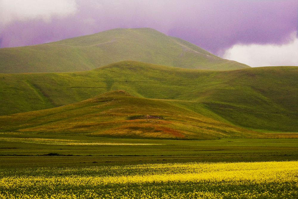 I colori della Natura