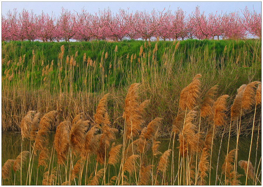 I colori della primavera