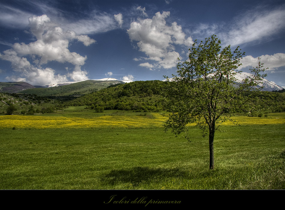 I colori della primavera