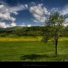 I colori della primavera