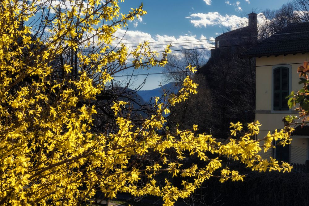 I colori della primavera