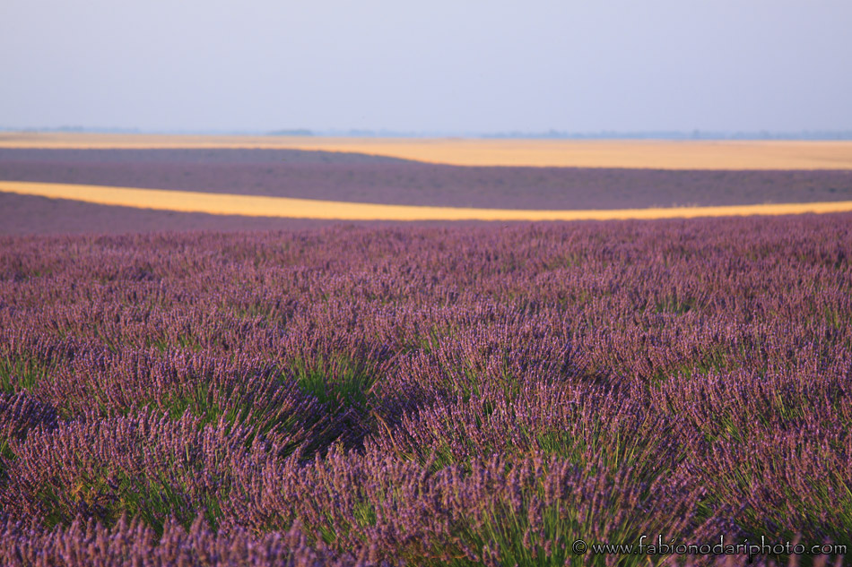 I colori della Provenza.