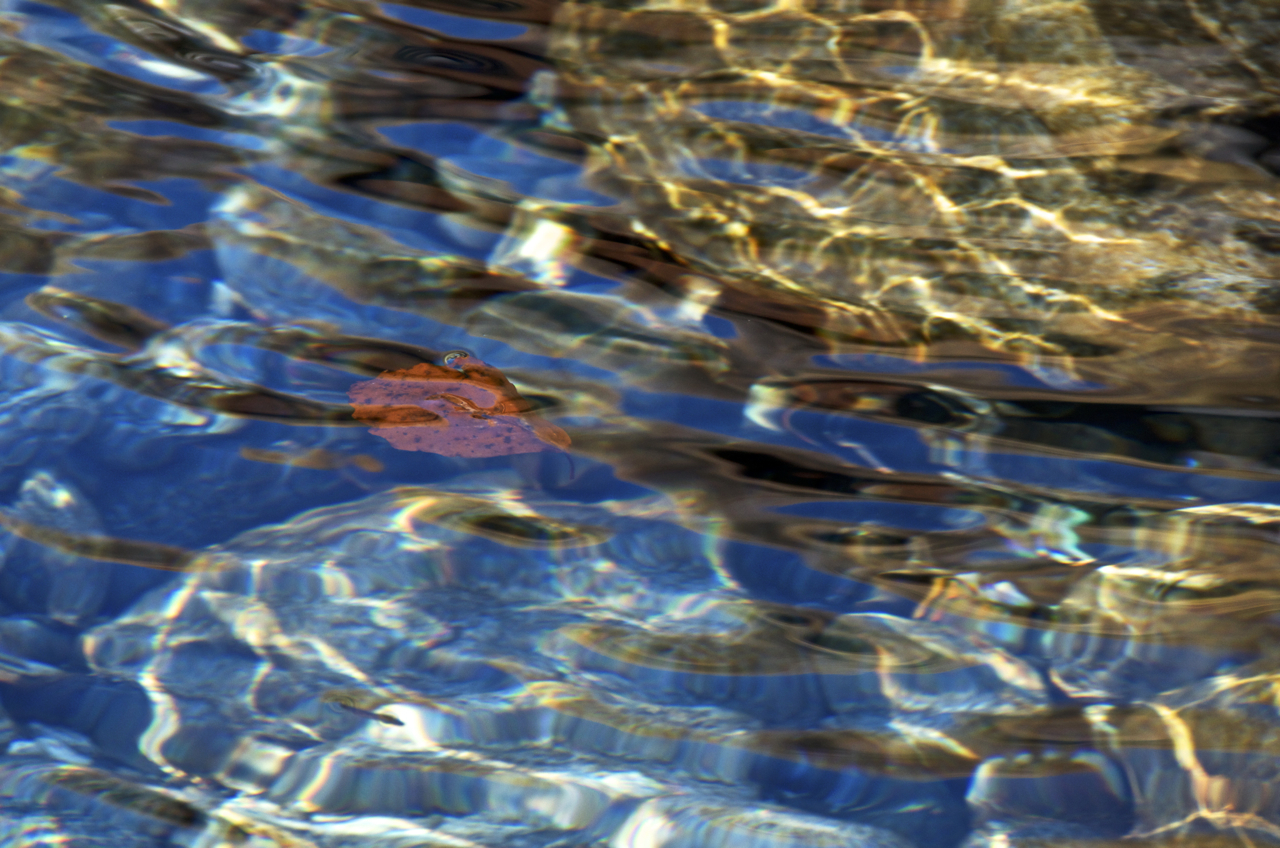 i colori dell'acqua