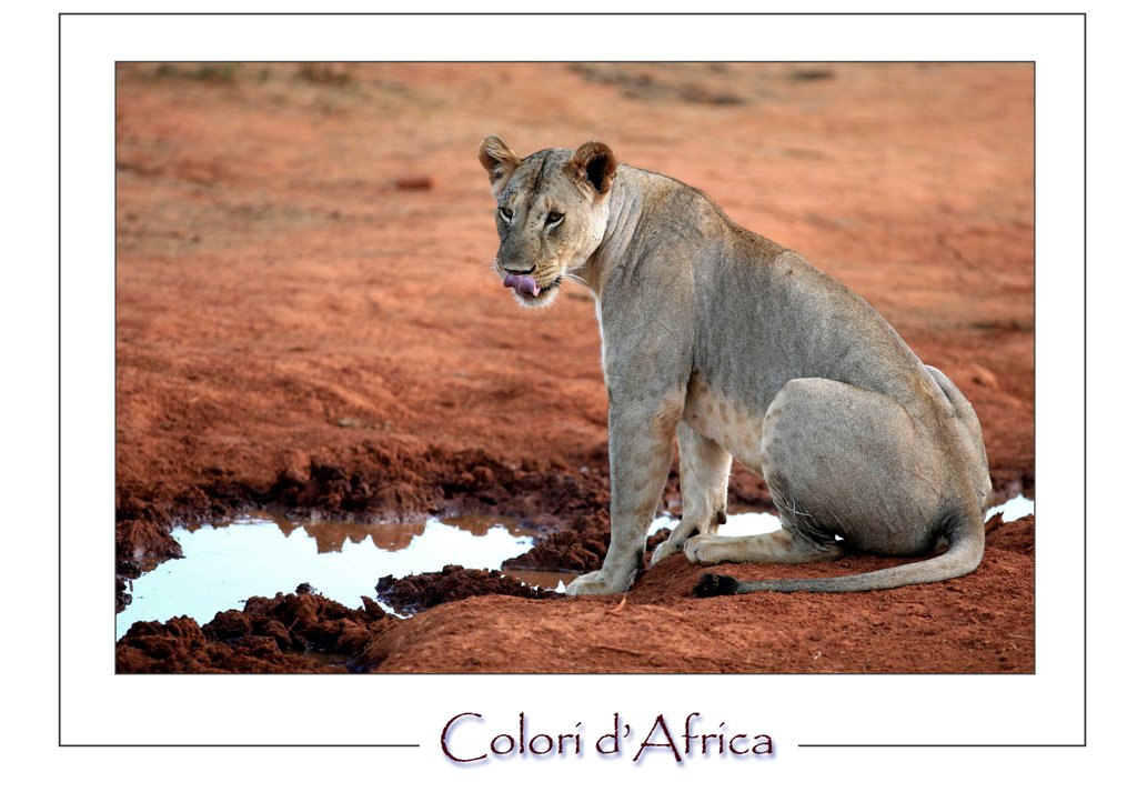 I Colori dell'Africa