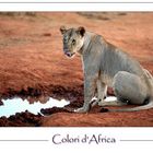 I Colori dell'Africa