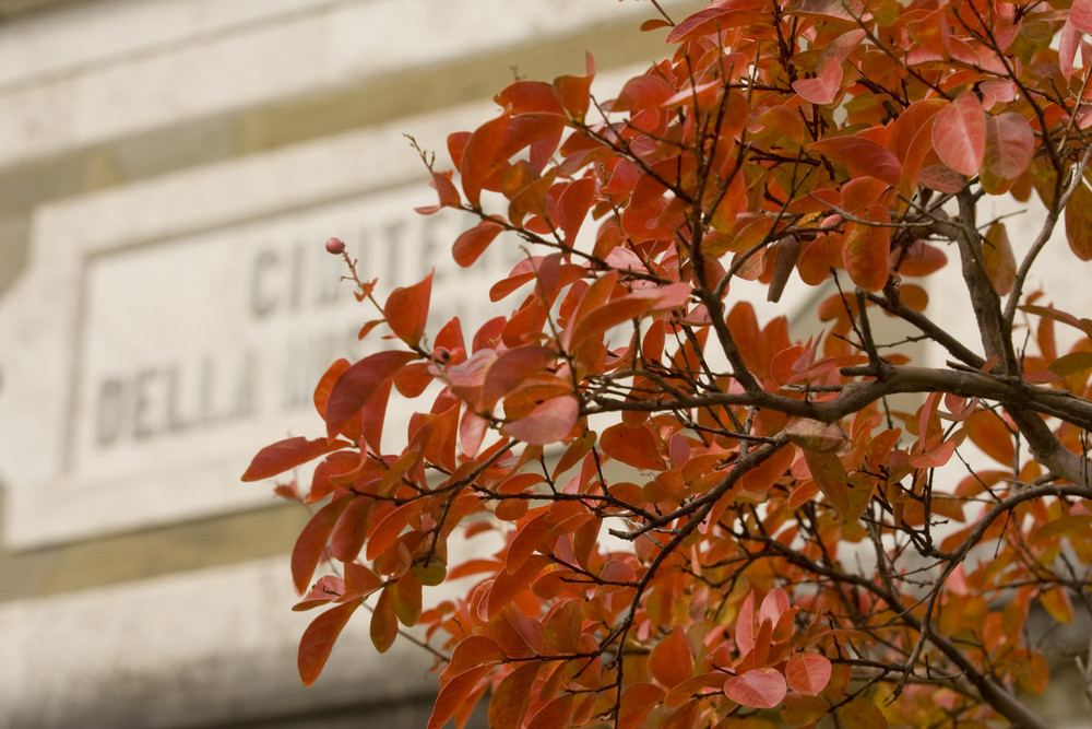 I colori dell'autunno