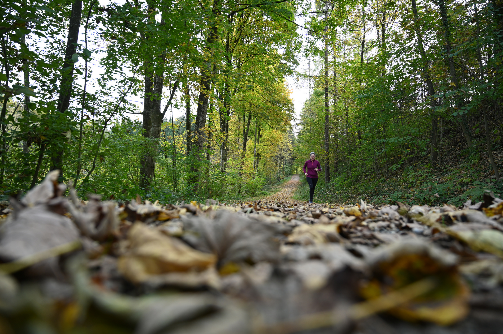 I colori dell'autunno 2