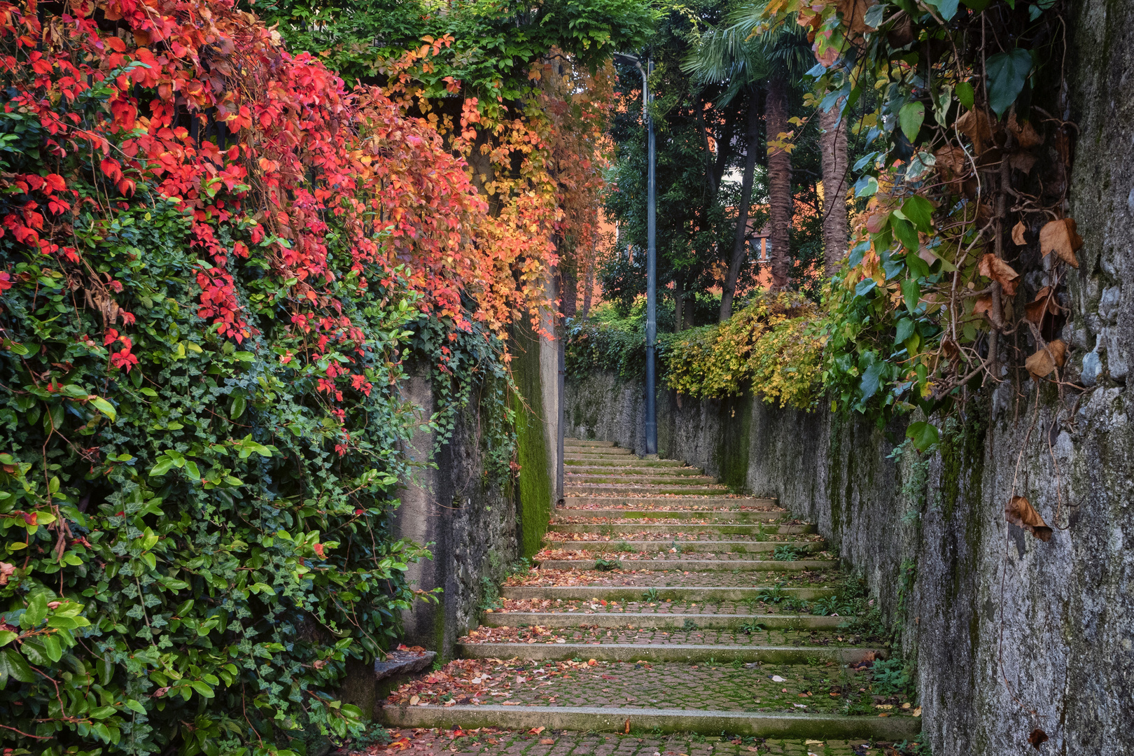 I colori dell'autunno