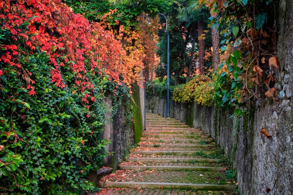 I colori dell'autunno