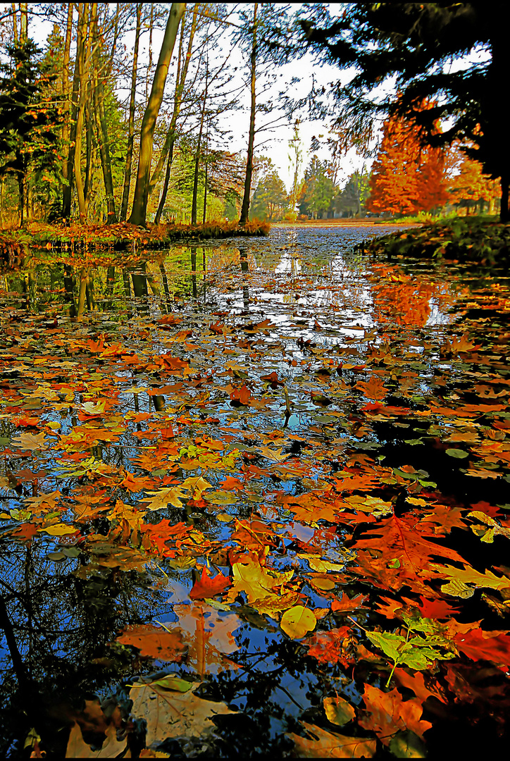 I colori dell'autunno