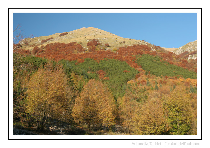 I colori dell'autunno