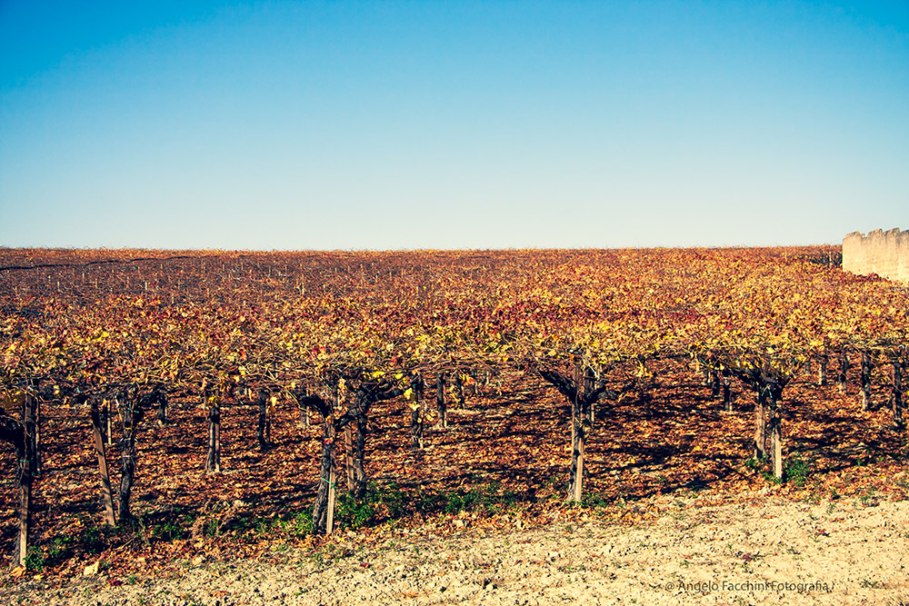 i colori dell'autunno