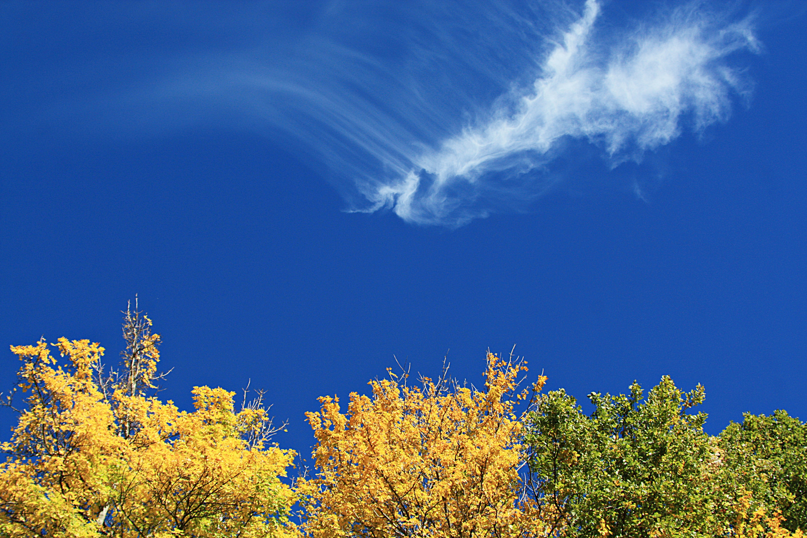 i colori dell'autunno