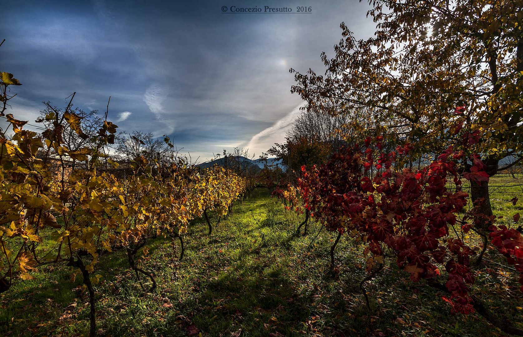 I colori dell'autunno