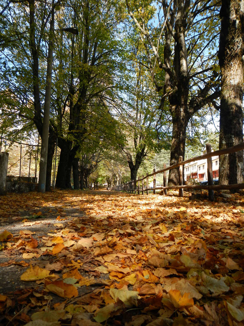 i colori dell'autunno