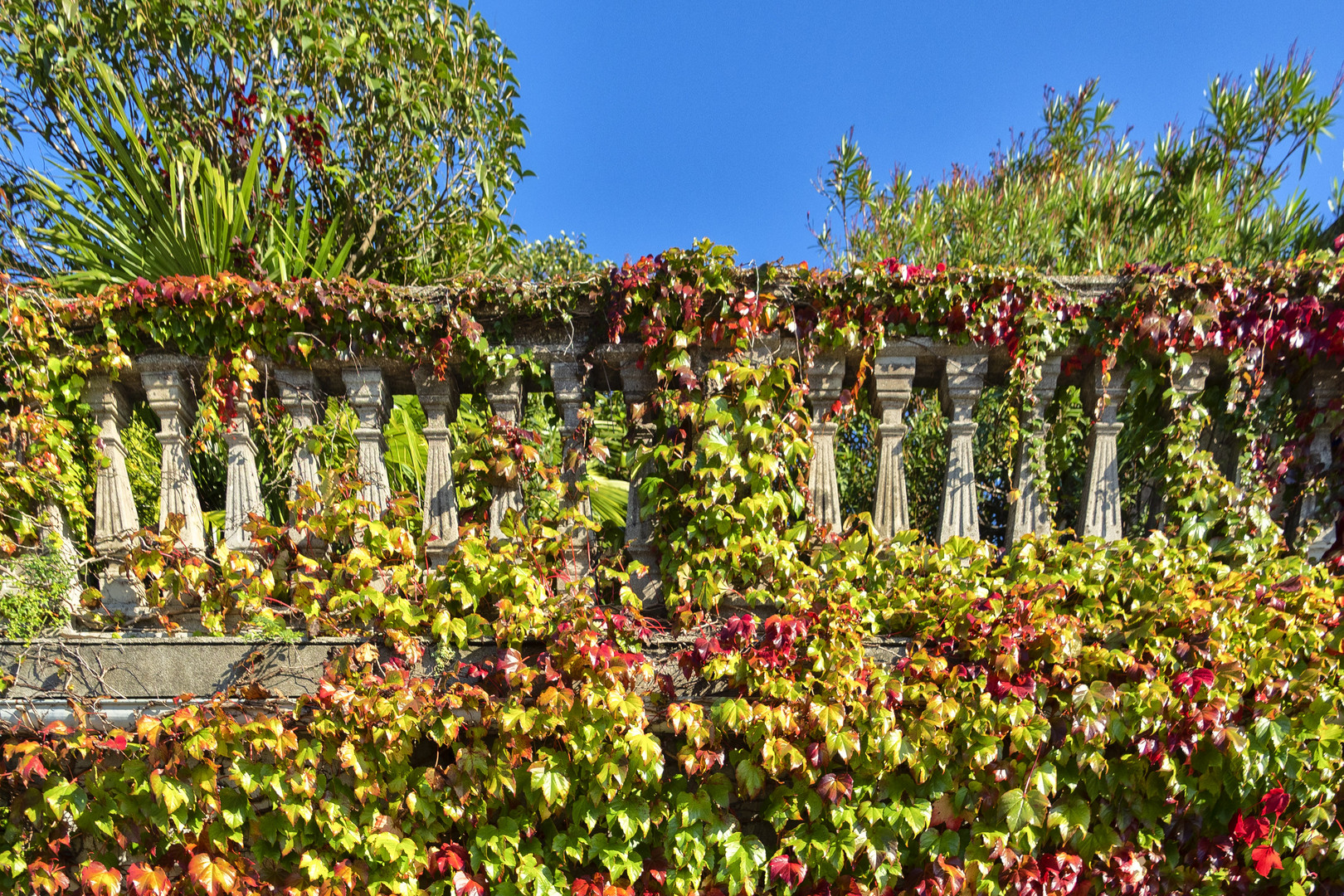 I colori dell'autunno