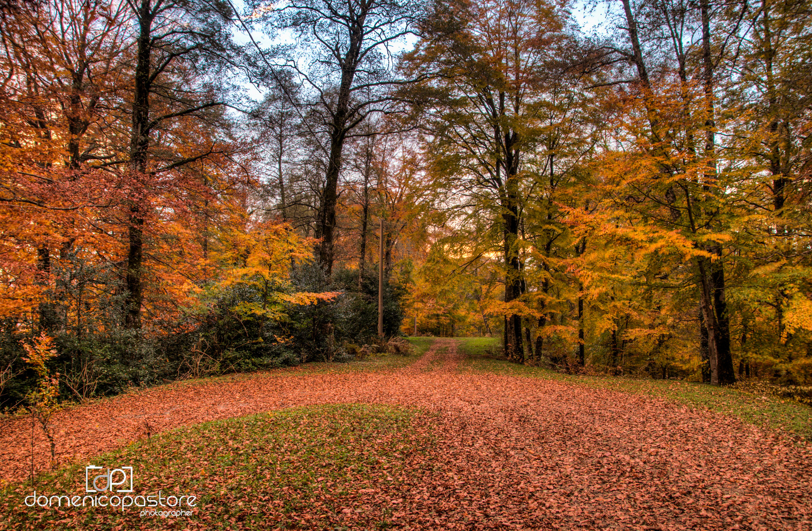 I colori dell'autunno