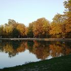 I colori dell'autunno - Parco Ducale, Parma
