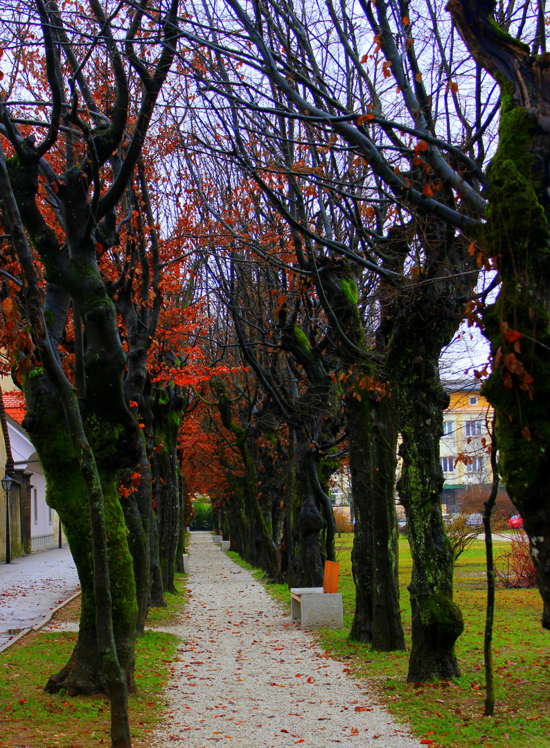 I colori dell'inverno!