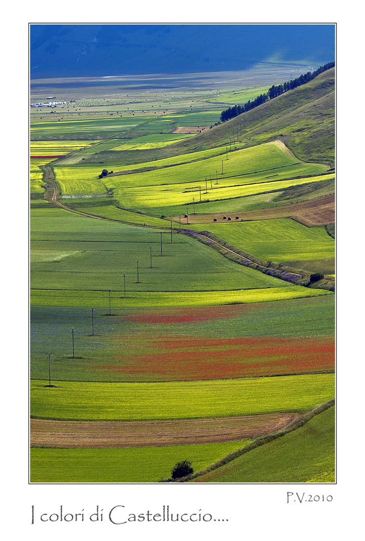 I colori di Castelluccio....