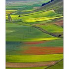 I colori di Castelluccio....