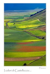 I colori di Castelluccio....