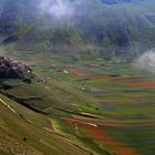 i colori di castelluccio