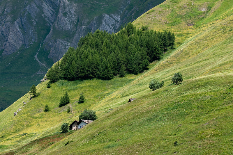 I colori di Giugno.