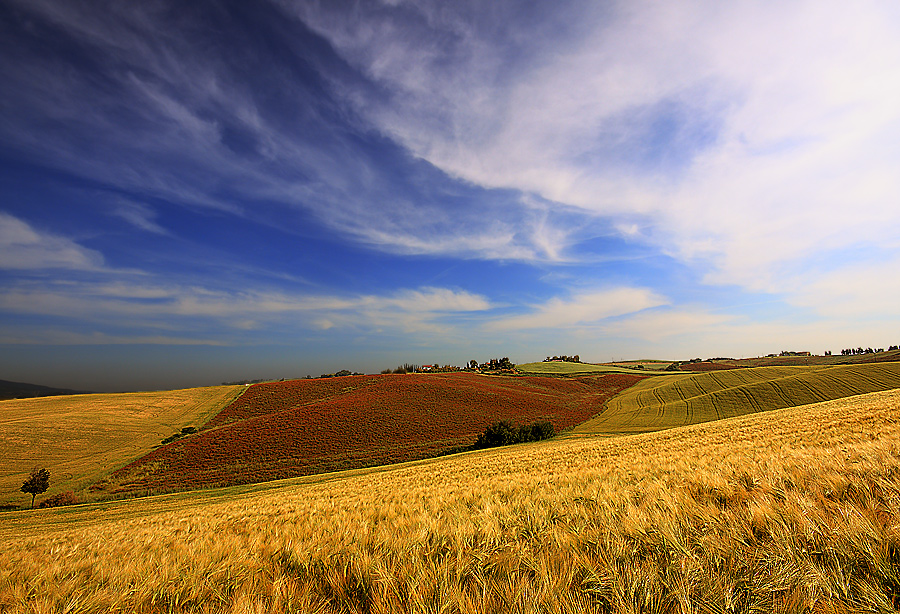 I colori di inizio estate (The colors of beginning summer)