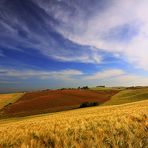 I colori di inizio estate (The colors of beginning summer)