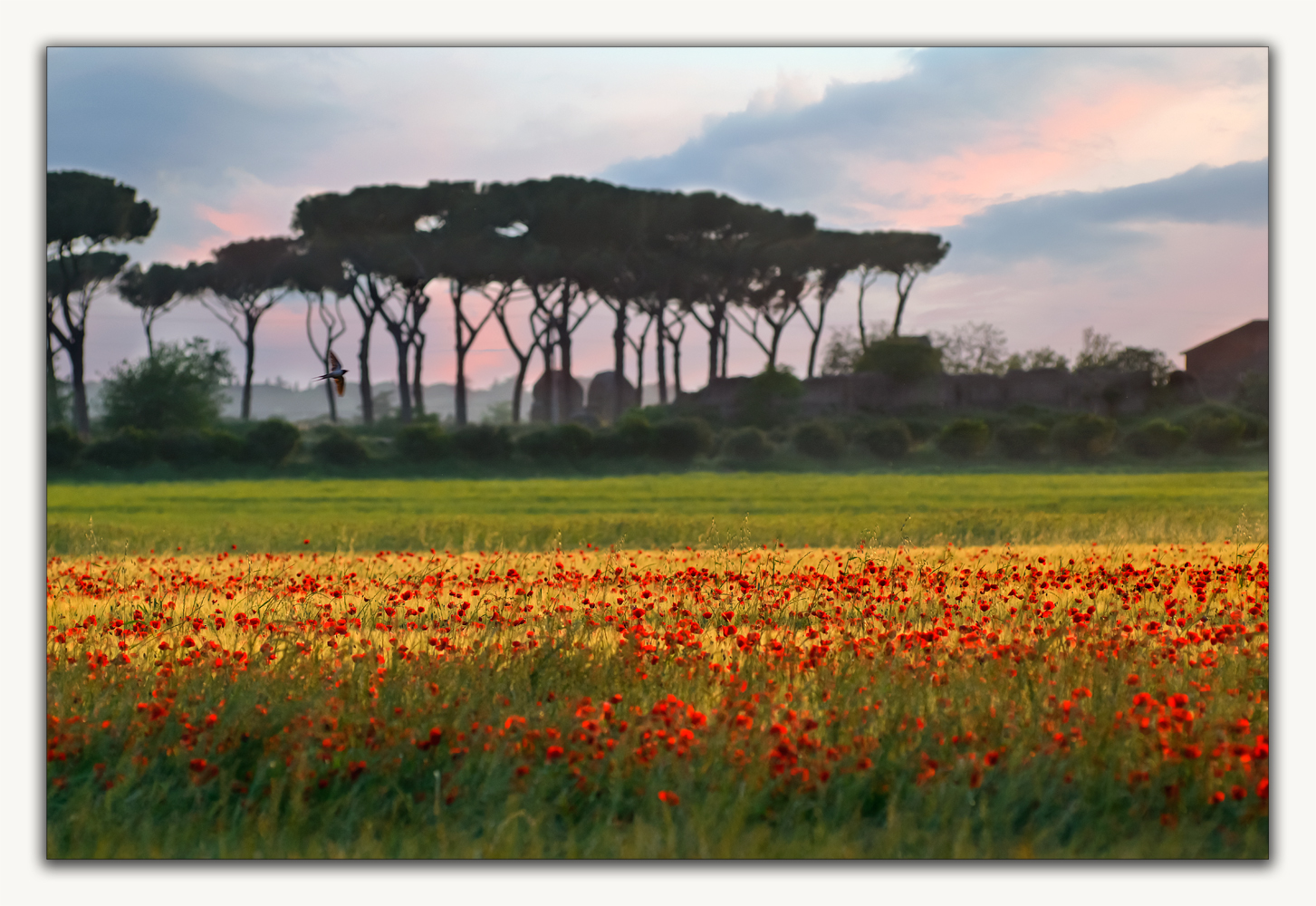 I colori di maggio