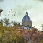 I colori di Roma: "San Giovanni Dei Fiorentini"