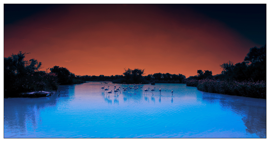 i colori ed il tramonto della Camargue