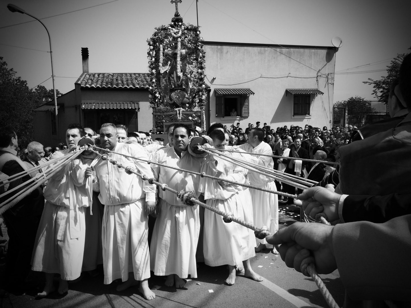 I confrati della festa del Signore dell'olmo di Mazzarino