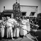 I confrati della festa del Signore dell'olmo di Mazzarino