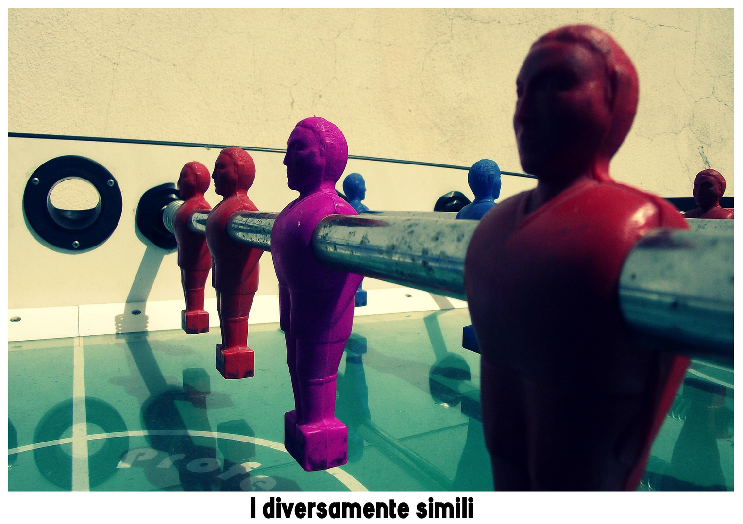 I diversamente simili