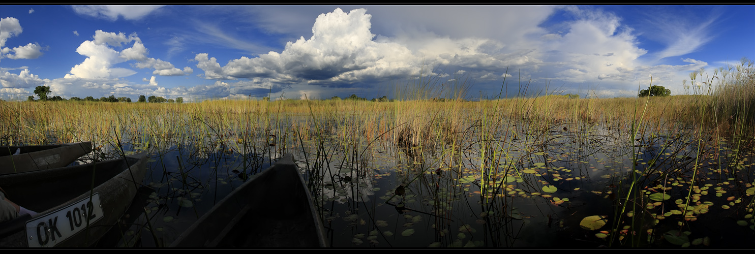 ---I dream of Okavango Delta---