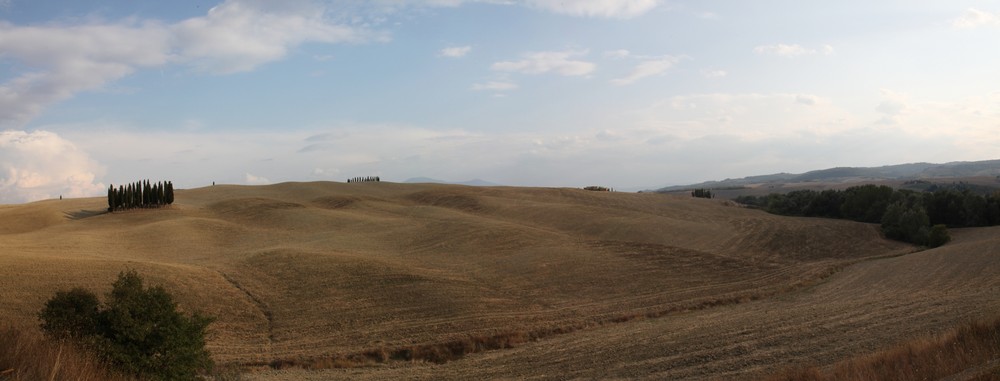 I famosi cipressi di San Quirico d'Orcia