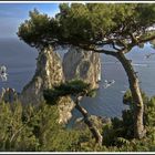 I Faraglioni di Capri.................