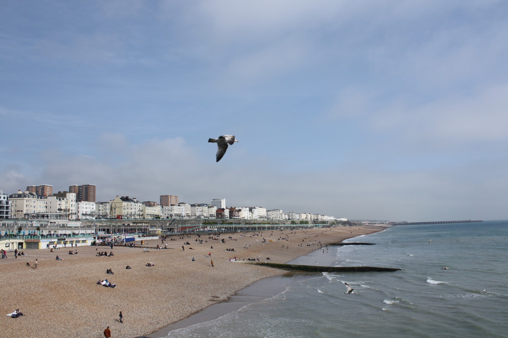 I fell in love with the Seaside.