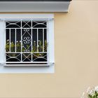 i fiori davanti alla finestra  -  die Blumen vor dem Fenster